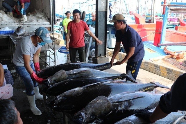 10-month Tuna exports fall to an estimated US$690 million